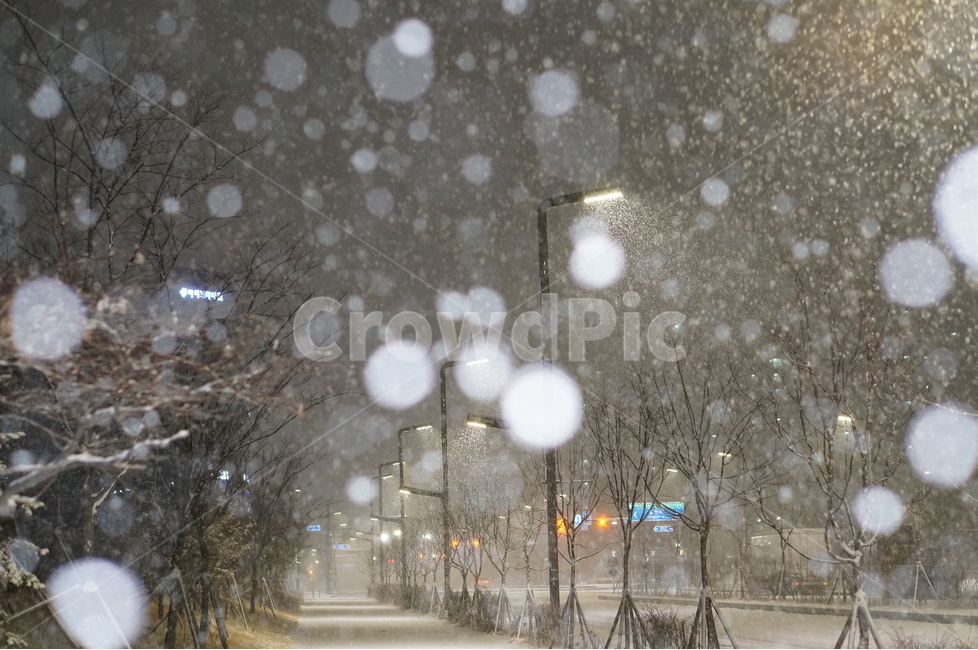 눈,야경,보케,밤,겨울,풍경,겨울,계절,winter,season,도시,풍경,city,landscape,한국도시풍경,한국도시경관,korea cityscape,nature,자연,outdoors,옥외,snow,storm,폭풍,blizzard,눈보라