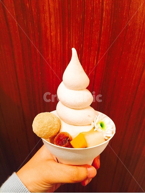 아이스크림,여름,소프트아이스크림,꽃,벽,나무,인절미볼,생화,소프트콘