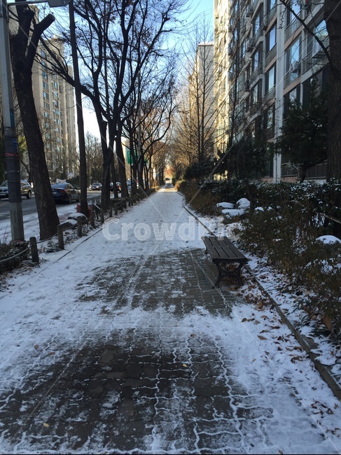 눈,눈길,눈온뒤,겨울,춥다,길,거리,산책,snow,winter,cold,street,벤치,나무벤치,겨울,계절,winter,season,도시,풍경,city,landscape,nature,자연
