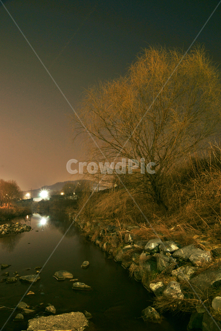 양재천,과천,개울,야경,아파트,산책로,자연,풍경,nature,landscape,야경,밤,nightscape,night,outdoors,옥외