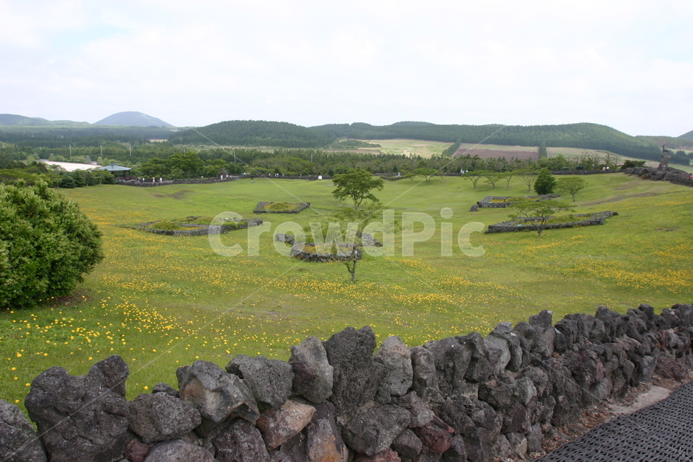 제주도,둘레길,목초지,자연,nature,grassland,옥외,outdoors,들,field,벽,wall,돌담,담,자연,풍경,nature,landscape