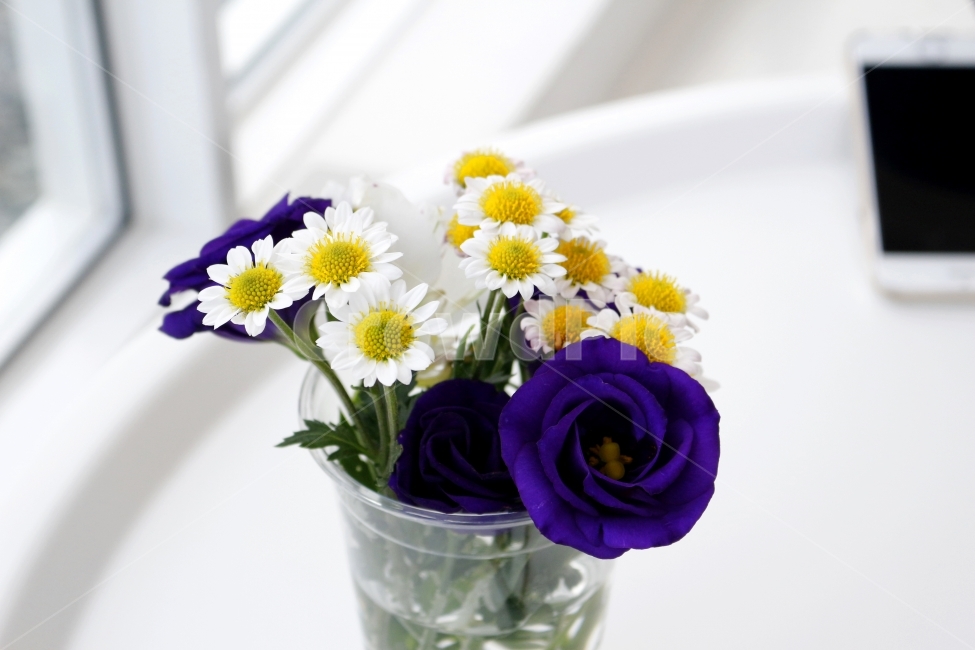 꽃,식물,감성사진,카페,연출,컨셉,자연,감성,plants,flowers,analog,식물,자연,plants,nature,꽃,flower,실내용화초,화분,화초,house plant,인테리어,실내디자인,interior design