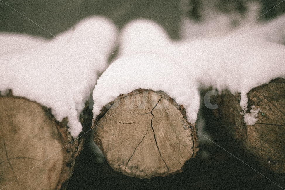 눈,겨울,나무,snow,winter,wood,추억,감성,감성사진,옛날사진,35mm,50mm,film,필름,겨울,계절,winter,season,감성,sensible,feeling