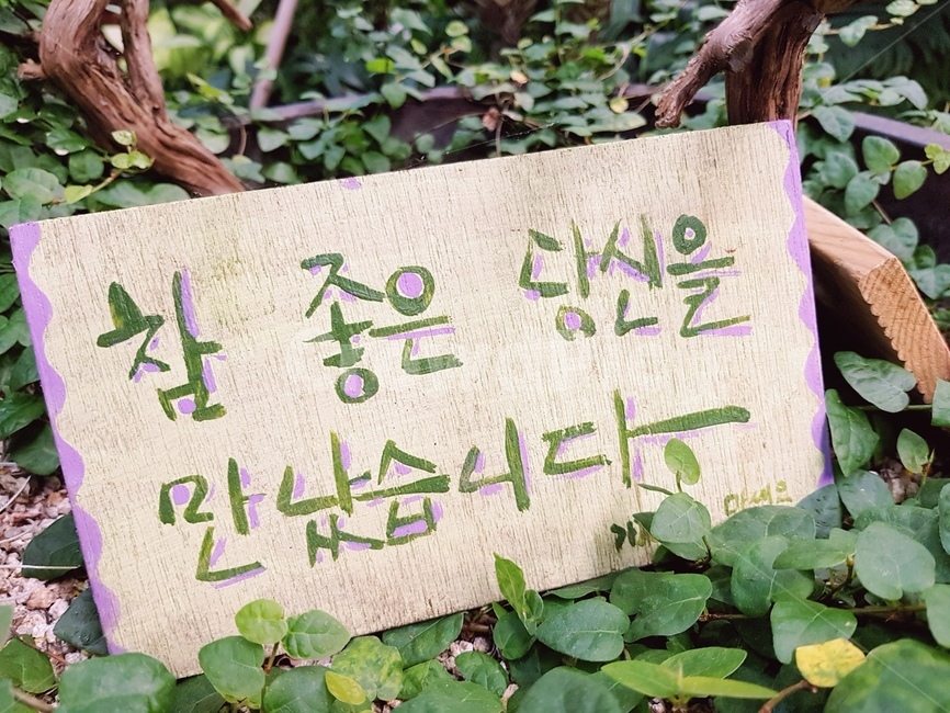 식물,화분,글씨,plant,사랑글귀,캘리그라피,손글씨,calligraphy