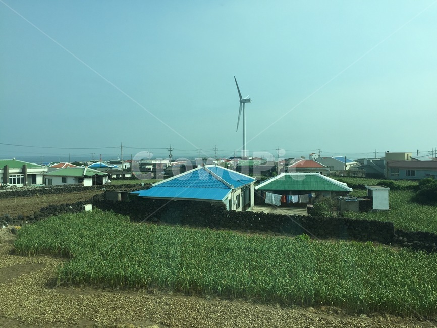 제주도,창밖,풍경,풍차,어촌,마을,집,주택,지붕,파란지붕,초록지붕