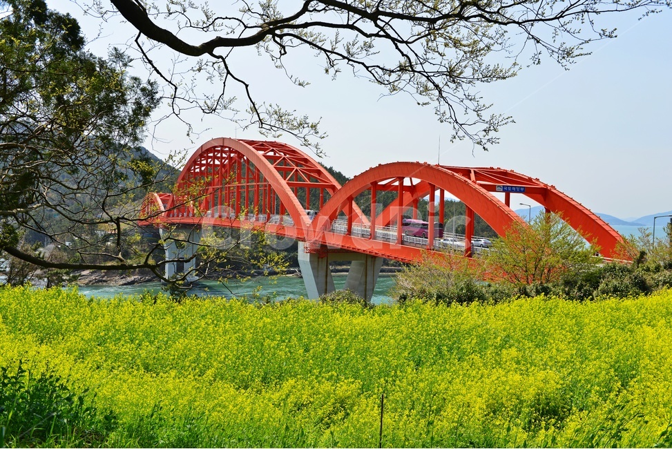 building,건물,경남,남해,창선,삼천포,창선대교,삼천포대교,유채밭,유채꽃,봄,봄꽃,계절,field,들,grassland,outdoors,옥외,nature,자연,meadow,목초지,arched,아치형,bridge,다리