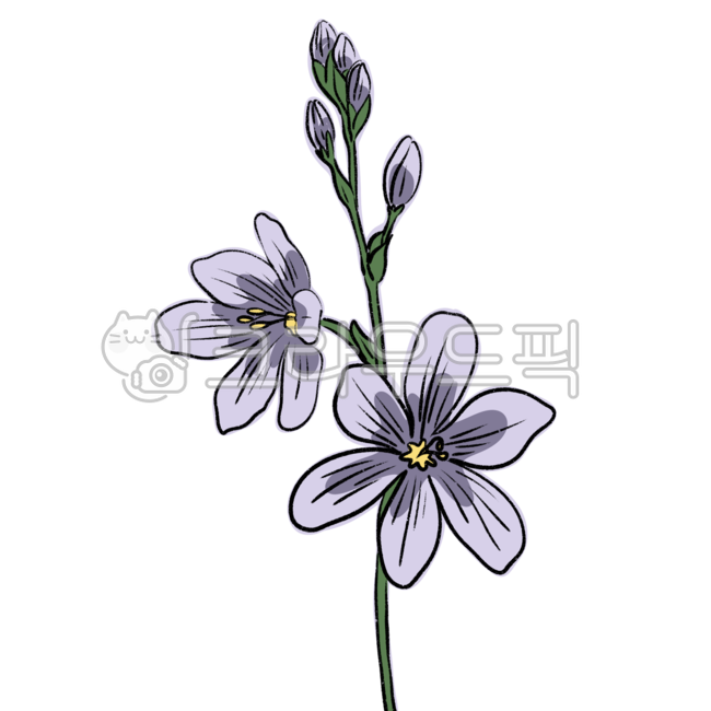 flower drawing,nature,flower painting,sauce,line drawing,flower,flower illustration,plant illustration,plant,design source