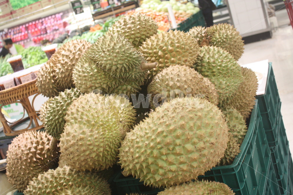 태국,두리안,음식,과일,food,fruit,durion,마트