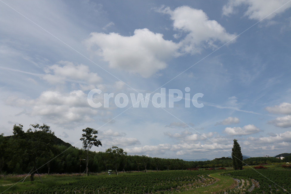 nature,자연,outdoors,옥외,하늘,자연,풍경,nature,landscape