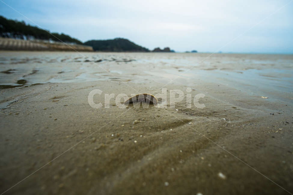 운여해변,서해안,태안해변,간조,조개껍질,landscpae,바다,모래,sand,nature,outdoors,자연,풍경,nature,landscape,옥외