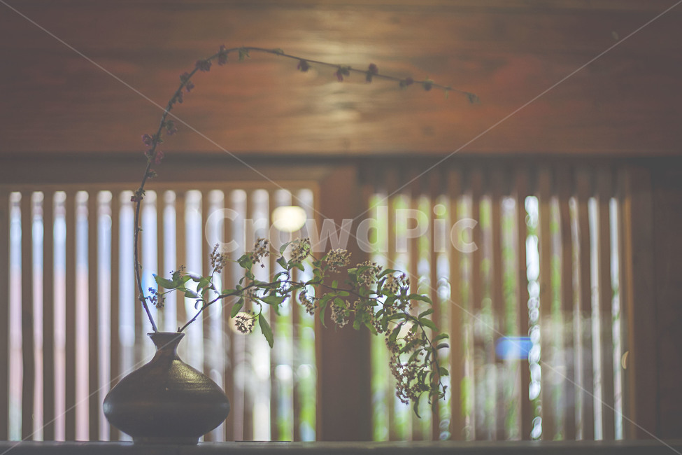 카페,인테리어,빛살창,화분,자연광,cafe,interior,shinewindow,flowerpot,naturelight