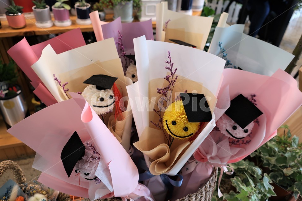 졸업,졸업식,꽃다발,축하,인형,학사모,학교,선물,기념,기념일,포장지,꽃,flower,기념일,축하,anniversary,congratulation,celebrate,celebration