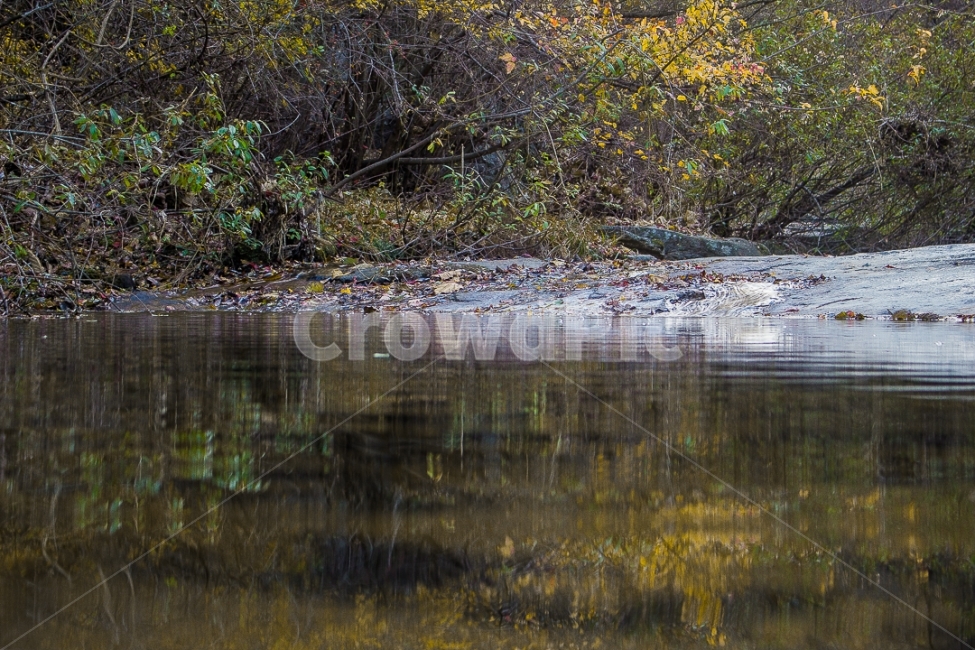 연못,개울가,개울,자연,산,풍경,물,냇가,계곡,자연풍경,평화,자연,풍경,nature,landscape,water,outdoors,옥외,land,땅