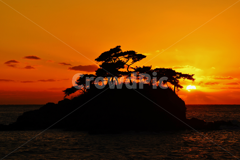 서해안,일몰,낙조,솔섬,바다,자연,풍경,nature,landscape,한국자연풍경,한국자연경관,korea nature landscape,실루엣,그림자,silhouette,shadow,outdoors,옥외,red sky,붉은 하늘,dawn,새벽,sunset,sky,하늘,dusk,황혼
