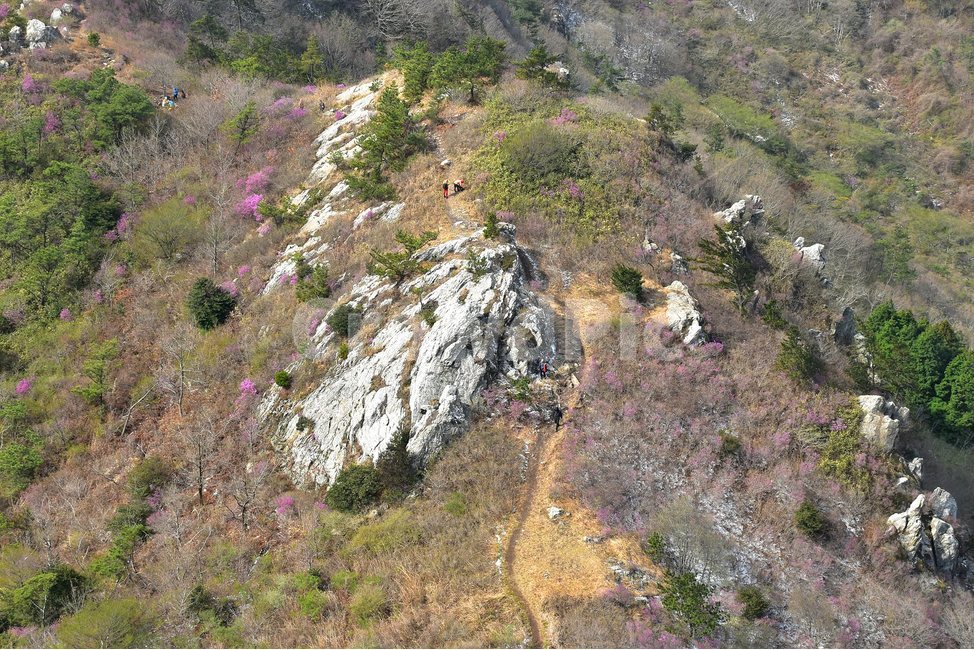 주작산,덕룡산,종주,진달래,풍경,기암,바위,비경,봄풍경,진달래꽃,강진,명산,산행,등산,마운틴,힐링,mountain,landscape,자연,natural,자연,풍경,nature,landscape,한국자연풍경,한국자연경관,korea nature landscape,slope,경사,outdoors,옥외