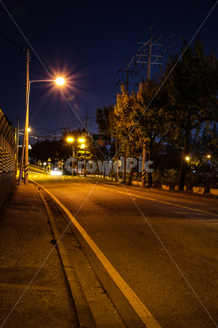 도로,road,아스팔트,asphalt,tarmac,외로움,쓸쓸함,처량함,고독,가로등,led,전봇대,나무,슬픔,감성,feel,느낌,밤,night,검정,black,노랑,yellow,하루,끝,초라함,아쉬움,이별,생각,조명