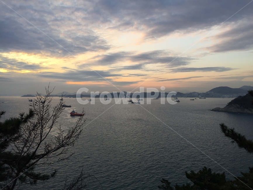 부산,태종대,영도,바다,배,풍경