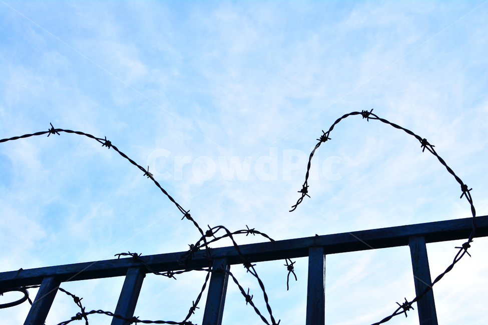 철조망,사슬,울타리,탈출,굴레,의미,상징,컨셉,콘셉,concept,fence,펜스,장벽,벽,담장,주의,notice,출입금지