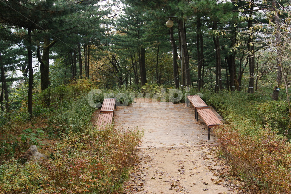 자연,풍경,landscape,nature,rest,남산,휴식,힐링,산책,산책로,등산,숲,나무숲,숲길,나무