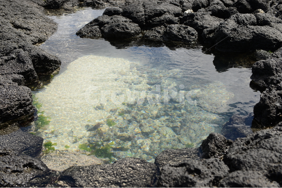 선녀탕,제주도,맑은물,화강암,연못,자연,풍경,nature,landscape,제주도,jeju,jeju island,rock,록,water,물