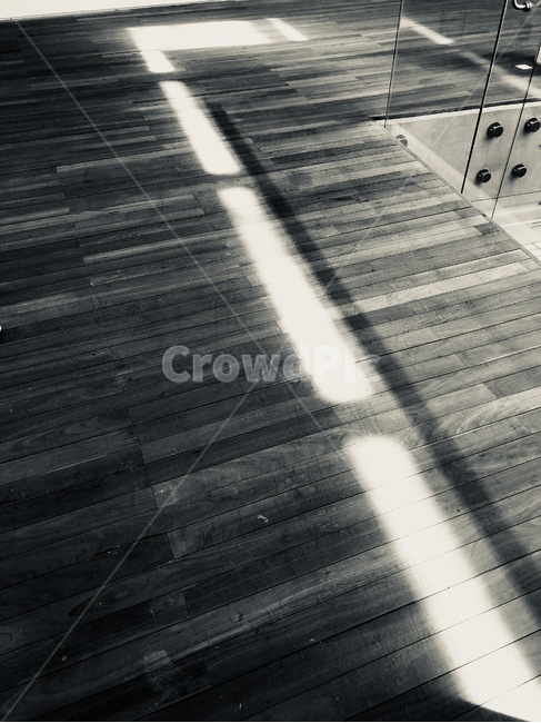 오후,그림자,나무,흑백,햇빛,흑백,모노톤,monochrome,black and white