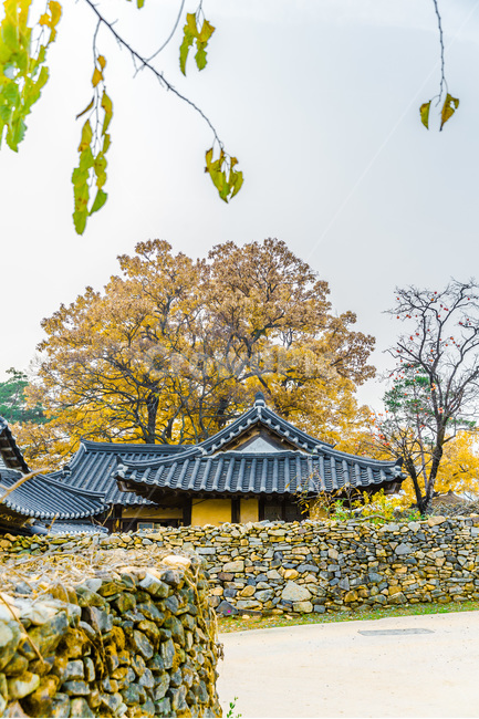고택,돌담,민속마을,문양,전통,마을어귀,시골,마을,풍경,landscape,country,rural,town,한국전통,한국문화,korean traditional,korean culture