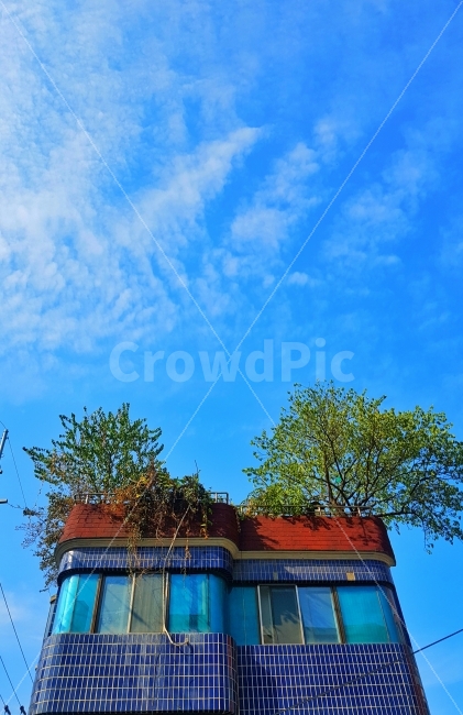 건물,하늘,구름,나무하늘색,창문,파랑색,건축물,건물외관,exterior,building,structure,architecture,construction