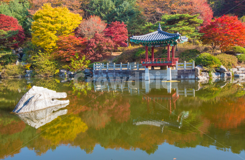 자연,풍경,가을,계절,추경,만추,호수,저수지,연못,현충원,대전,공원,전망대,물,반영,단풍나무,단풍,정원,정원수,산,노란,붉은,빨간