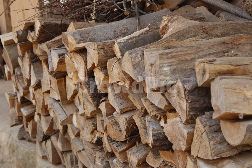 나무,wood,lumber,재목,땔감,목재