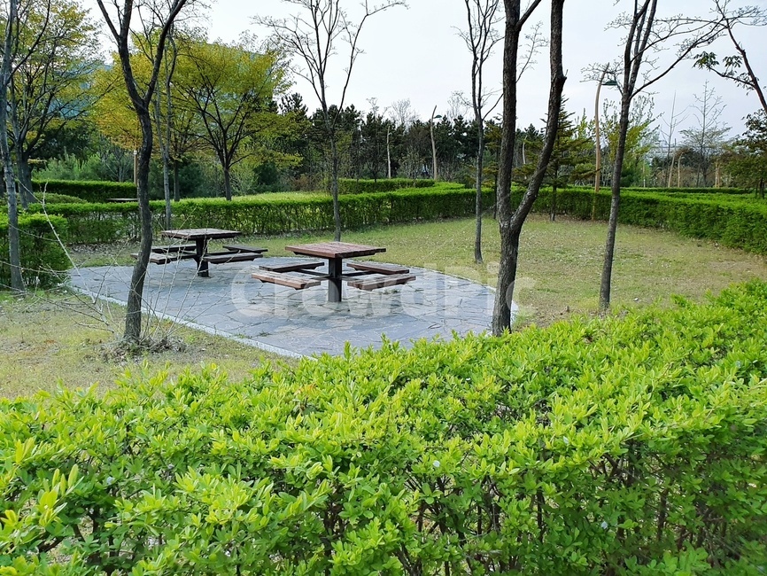 데이트,벤치,감성,기분,자연,풍경,풀,숲,나무,nature,초록,공원,피크닉,나들이