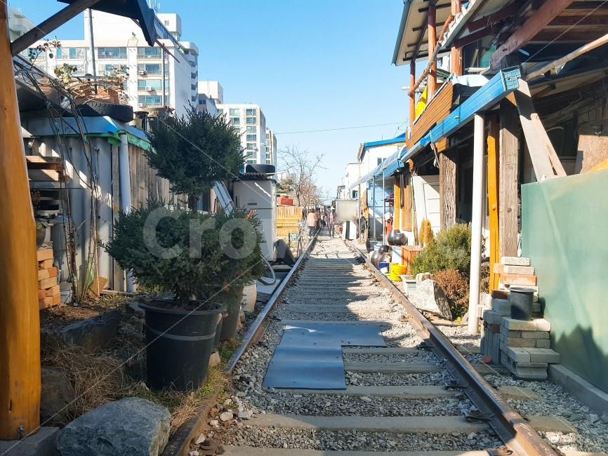 여행,travel,여행사진,국내여행,혼자여행,사진,군산,군산여행,배경사진,배경,이쁜사진,색감,색감좋은사진,경암동,철길마을,철도,옛날마을,옛마을,철길,기찻길,풍경,풍경사진,교통,교통수단,traffic,transportation,시골,마을,풍경,landscape,country,rural,town