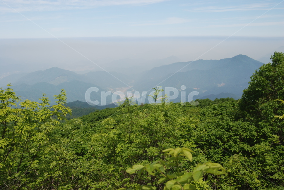 소백산,휴양림,탐방로,봄,자연,자연,풍경,nature,landscape,한국자연풍경,한국자연경관,korea nature landscape,outdoors,옥외,mountain range,산맥,mountain,산