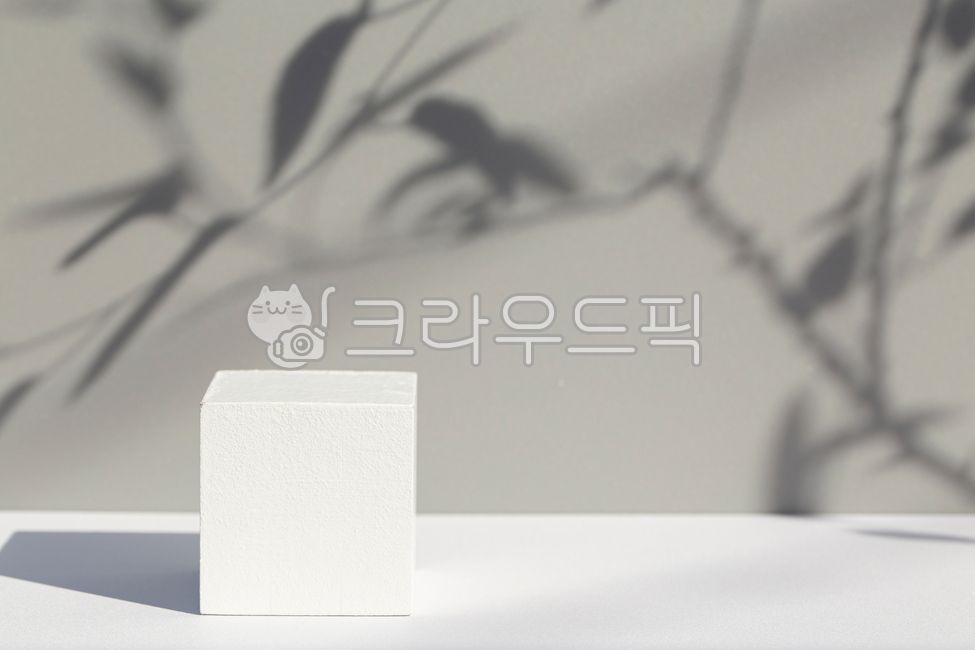 디스플레이박스,디스플레이,화이트,하얀상자,전시다이,전시대,전시,소품,3d배경,쇼케이스,촬영소품,빛,그림자,잎,식물