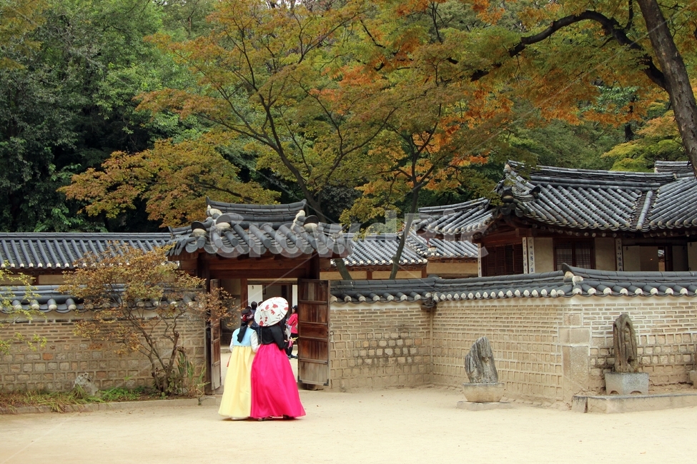 한옥,한복,가을,나무,단풍,왕궁,창덕궁,조선시대,서울시,서울,한국전통,한국문화,korean traditional,korean culture