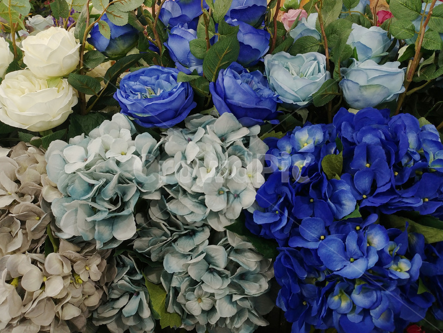 꽃,꽃다발,디스플레이,플라워,배경,바탕,백그라운드,장식,데코레이션,꽃잎,flowers,칼라,color,식물,축하,조화,배경화면,수국,블루,파란꽃