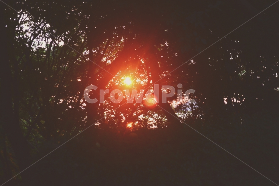 일몰,해너미,산너미,플레어,일몰사진,감성,sensible,feeling,휴식,힐링,rest,relaxation,healing