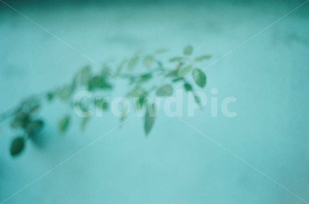 ​감성사진,우울,칙칙함,느긋함,아날로그,zaheun,효신,필름사진,film,감성,sensible,feeling,색깔,색상,색채,색감,color sense,color sensitivity,feeling of color
