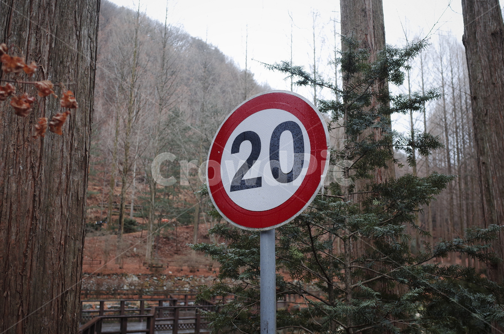 roadsign,도로표지판,sign,기호,symbol,상징,speed,20,limit,속도,제한