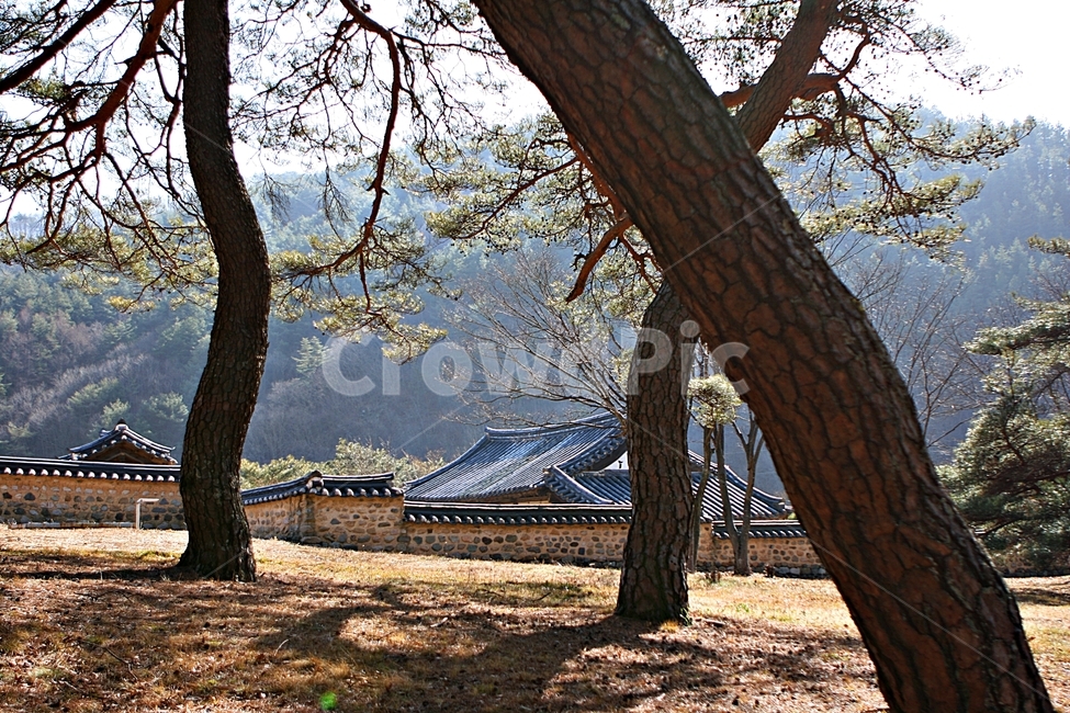 한옥,집,풍경,자연,배경,한국전통,한국문화,korean traditional,korean culture,건축물,건물외관,exterior,building,structure,architecture,construction