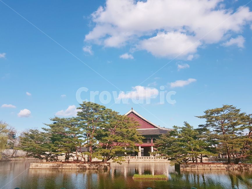 건축물,경복궁,자연,식물,힐링,한국랜드마크,랜드마크,landmark,tourist attraction,한국랜드마크,한국관광지,한국명소,korea landmark,korea tourist attraction