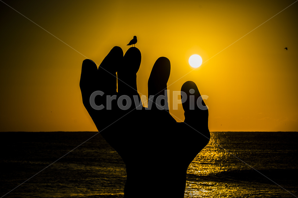 new year sunrise,Homigot,East Sea sunrise,first year,Sunrise