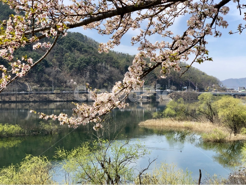 봄,강,자연,풍경,춘천,강변산책로,봄빛,자연의색,청량,nature,river,산책로,강물,ecology,물결,맑음