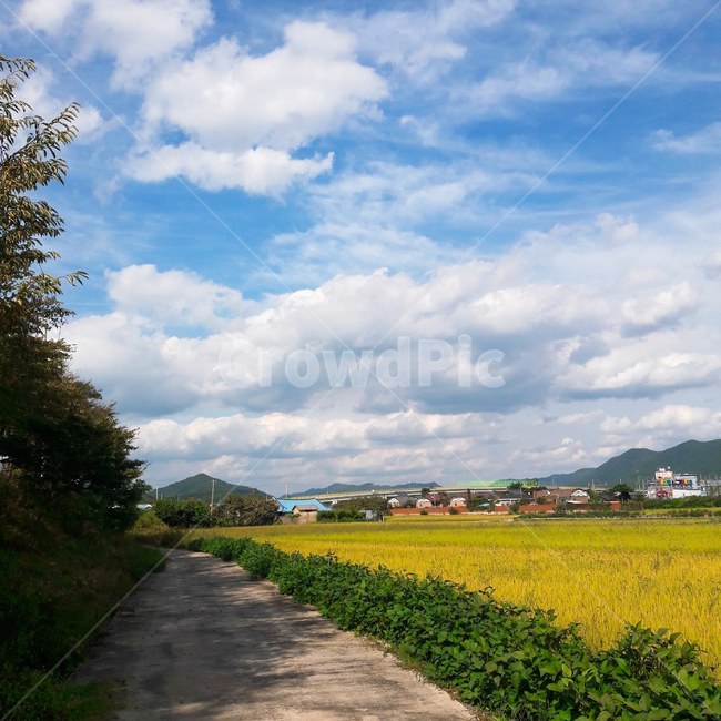 하늘,감성,구름,자연,풍경,자연,풍경,nature,landscape,outdoors,옥외