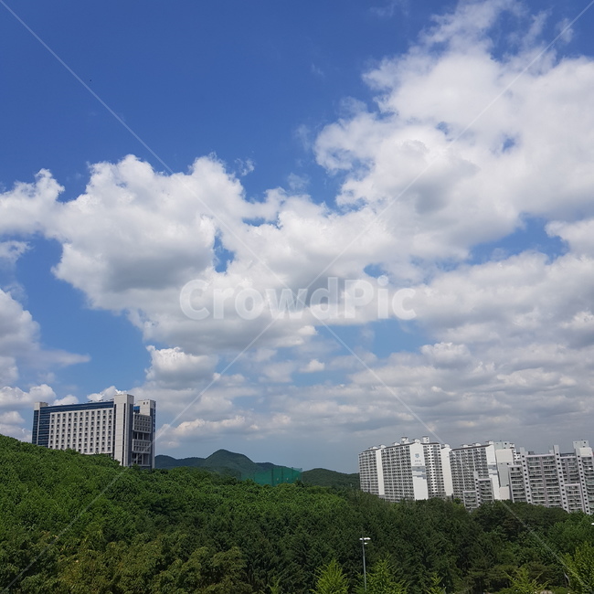 풍경,하늘,건물,구름,자연