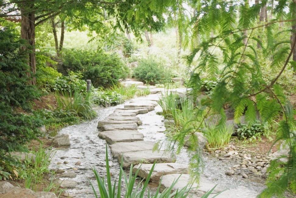 돌다리,풀숲,개울,숲속공원,공원,산책,fountain