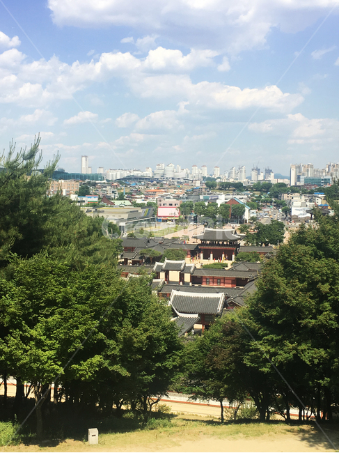 수원,화성,맑음,하늘,나무,한옥,suwon,koreanhouse