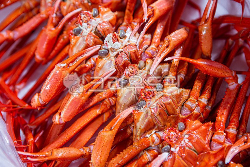East coast red crab,Hupo red crab,Guryongpo red crab,snow crab,Yeongdeok snow crab,red crab,crab