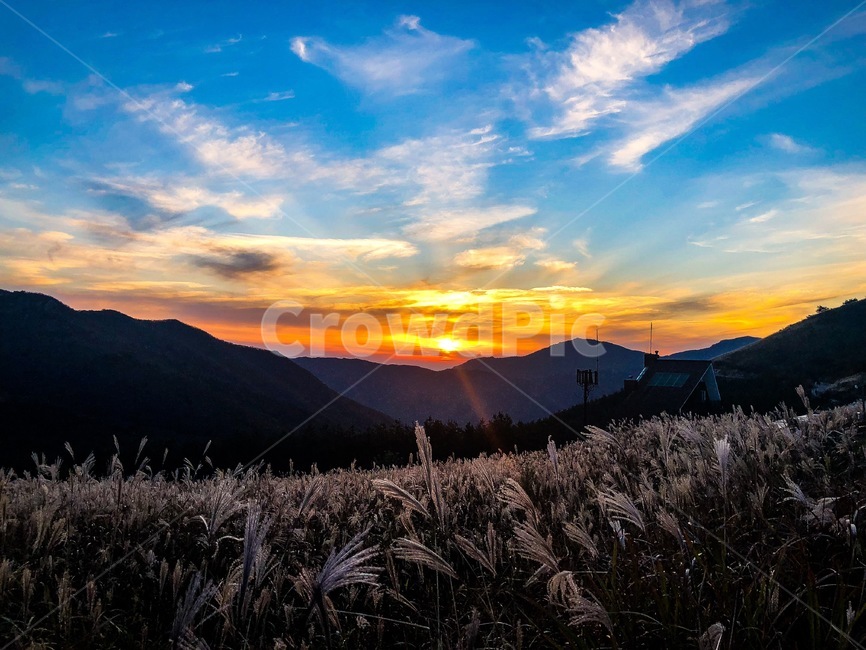 일몰,가을,영남알프스,간월재,풍경,자연,풍경,nature,landscape,outdoors,옥외,grass,잔디,plant,식물,sky,하늘,dusk,황혼,sunset,dawn,새벽,red sky,붉은 하늘
