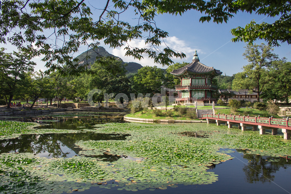 경복궁,향원정,건축물,건물,architecture,한국전통,한국문화,korean traditional,korean culture,건축물,건물외관,exterior,building,structure,architecture,construction