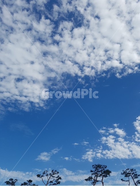 푸른,구름,nature,자연,푸른하늘,azuresky,sky,하늘,자연,풍경,nature,landscape,azure sky,푸른 하늘,outdoors,옥외